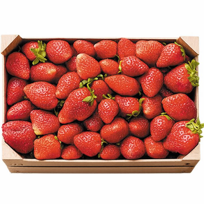 Fresas