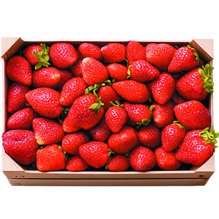 Fresas