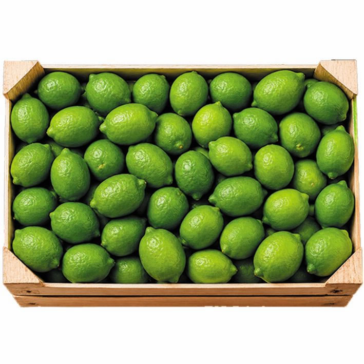 Limón Persa