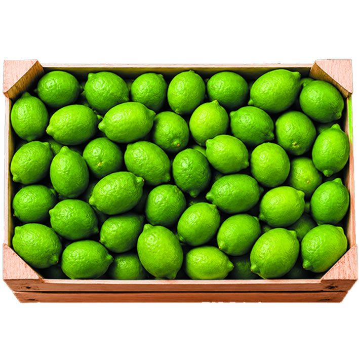 Limón Persa