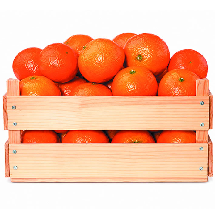 Mandarina Clementina