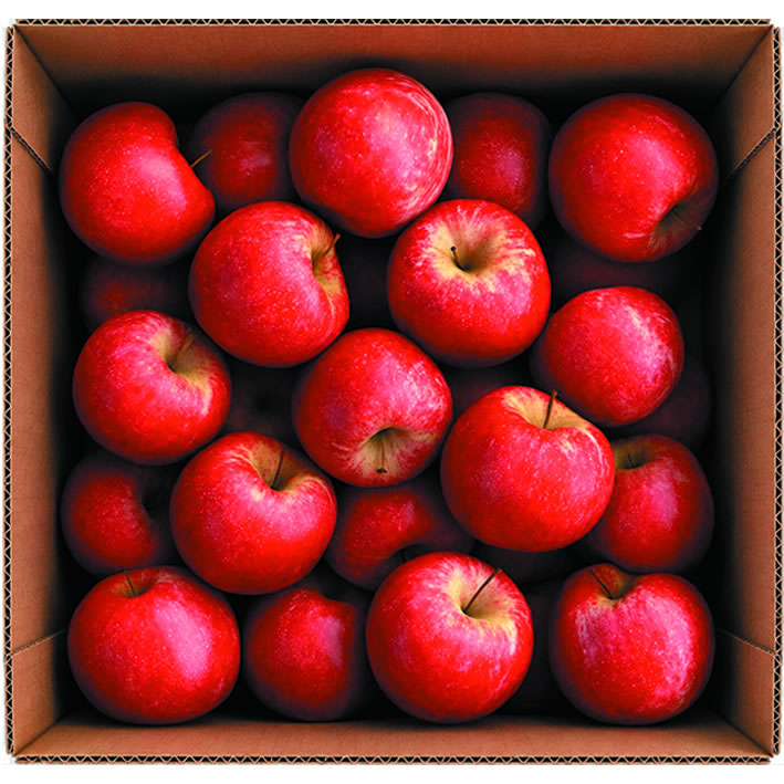 Manzana Gala
