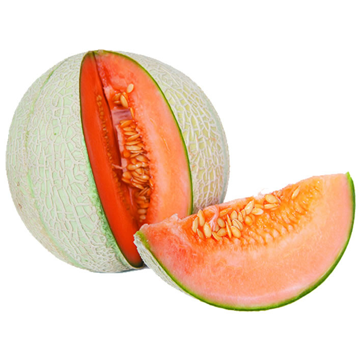 Melon Cantalupe
