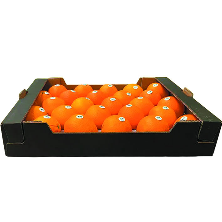Naranja Navel