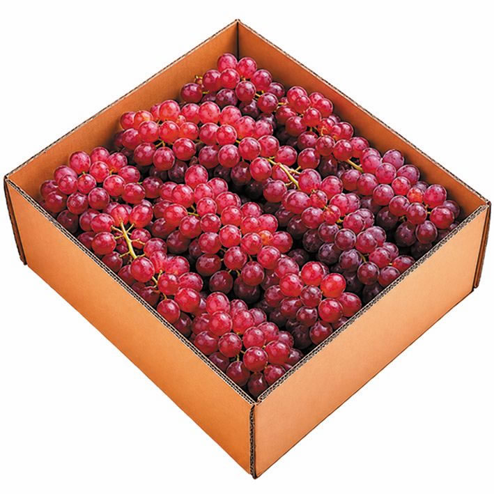 Uva Roja Globe