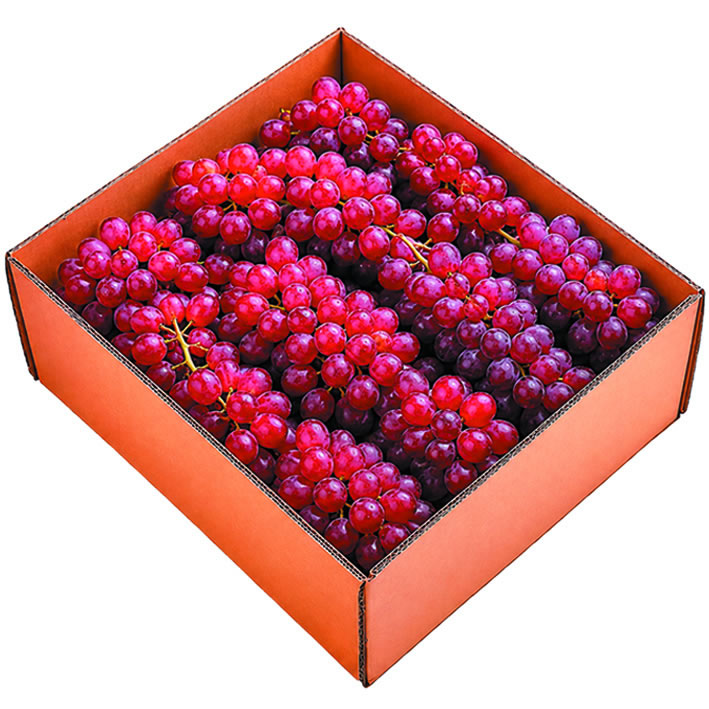 Uva Roja Globe