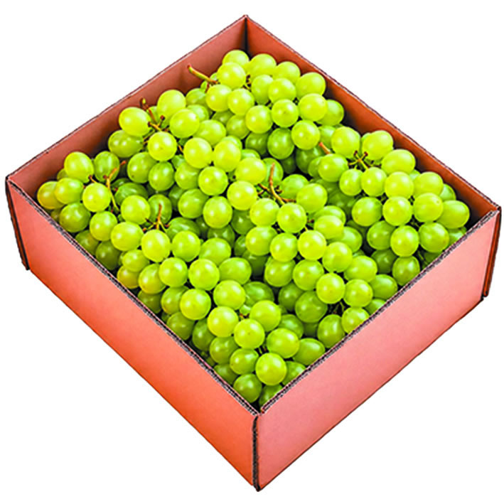 Uva Verde Savia Fresh