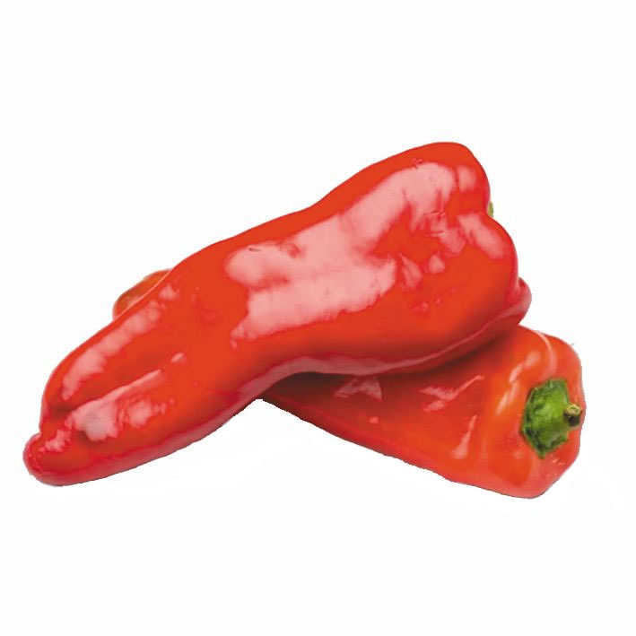 Chile Pimiento